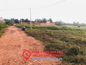 bán đất bmt
