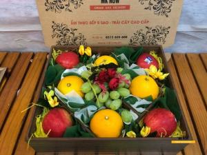 Hộp quà trái cây đẹp - FSNK101
