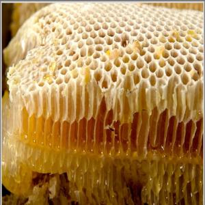 Giá bán mật ong nguyên chất bao nhiêu tiền 1 lít? Địa chỉ bán mật ong uy tín
