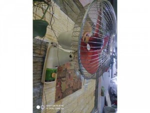 Quạt Sanyo treo tường