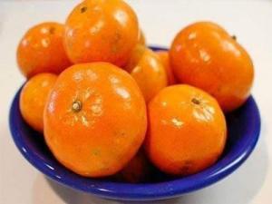 Cung cấp giống cây quýt đường Thái