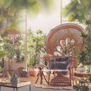 Chuyên cung cấp ghế mây nữ hoàng, ghế mây đẹp - Bàn ghế mây tre đan