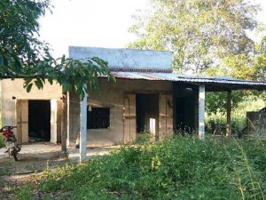 cần bán gấp hơn 8ha trồng gỗ Xưa và Mía.