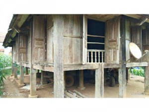 Cần bán căn nhà gỗ chò và lim