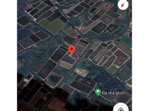 $Cơ hội đầu tư -lợi nhuận cao$