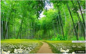 mẫu tranh gạch tre trúc 3d