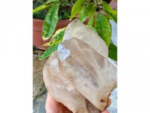 tinh thể đá thạch anh độc lạ