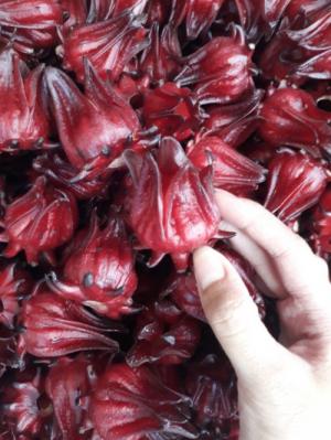 Hoa tươi atiso đỏ (hibiscus, bụp giấm) đã tách hạt