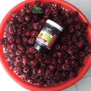 Hoa tươi atiso đỏ
