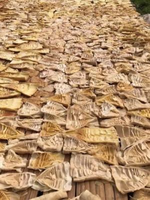 Cung cấp sỉ/lẻ Măng rừng Tây Nguyên