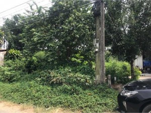 BÁN ĐẤT MẶT TIỀN ĐƯỜNG THẠCH NGỌC BIÊN P9 TP TRÀ VINH