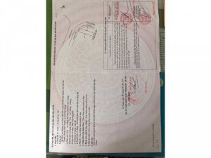 4 NỀN TÂN PHÚ THẠNH GIÁ ĐẦU TƯ
