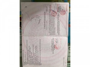 4 NỀN TÂN PHÚ THẠNH GIÁ ĐẦU TƯ