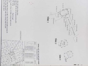 Nhà khu phố tây quận 1 giá rẽ