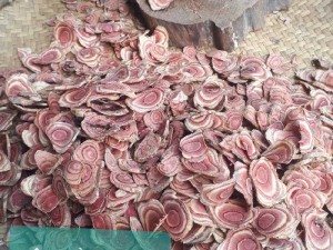 Thuốc nam tăng cân. Suy nhược kém ăn