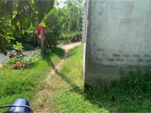 đi định cư cannada cần bán gấp gấp