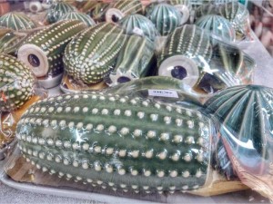 combo cây xương rồng bằng gốm đất nung