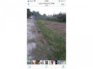 Cần bán lô đất 2 mặt tiền đường bêtông
