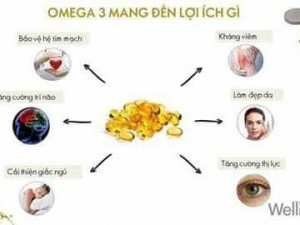 DẦU CÁ OMEGA 3