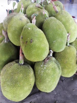 Gói 500gr Mít sấy giòn tự nhiên thơm ngon - Food By Mama