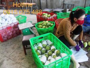 Sóng nhựa hở 3T9 với Model Việt Nhật là - VN04-HL với kích thước 610x420x390mm là loại sóng nhựa có lỗ chuyên dùng đựng những sản phẩm kích thước lớn như trái cây, hàng may mặc, thủy hải sản… sóng nhựa được sử dụng phổ biến và rộng rãi trên thị trường.
Sóng nhựa 3t9 Model VN04-HL với kích thước 610x420x390mm là loại sọt nhựa 3T9 chuyên dùng đựng những sản phẩm kích thước lớn như rổ nhựa đựng trái cây, hàng may mặc giày da, thủy hải sản… sóng nhựa được sử dụng phổ biến và rộng rãi trên thị trường.
Ngoài ra sản phẩm này còn dùng cho các tỉnh miền tây như Đồng Tháp, vĩnh long, Long an chuyên dùng để đựng xoài, sọt đựng cam 3t9, rổ đựng xoài 3t9.....
Việt Nhật còn cung cấp các sản phẩm tương tự cho bà con như sóng nhựa hở 2t5, rổ nhựa hở 1t, khay nhựa 1t5, sọt nhựa 3t1
ƯU ĐIỂM
Sóng nhựa hở (sóng nhựa rỗng) được thiết kế trên máy ép hiện đại, sản phẩm chịu va đạp mạnh, cho khách hàng sản phẩm hoàn hảo, màu sắc đẹp bền theo thời gian.
Ngoài những ưu điểm nổi bật của sóng, công ty còn làm khuôn in tên khách hàng lên từng sản phẩm nếu như khách có nhu cầu.
Thông tin liên hệ:
Địa chỉ: 66/94 Bình Thành, Bình Hưng Hòa B, Bình Tân, TP.HCM
Số điện thoại: 0915 075 488 Mr Hảo
Email: cskh@vietnhatplastic.vn
Website: https://vietnhatplastic.vn/
https://vietnhatplastic.vn/san-pham/
https://vietnhatplastic.vn/san-pham/song-nhua-ho-vn04-hl/
Xem thêm: sóng nhựa hở, sọt nhựa 3T1, Sọt đựng trái cây, ky đựng thanh long, rổ nhựa giá rẻ, rổ nhựa đựng bánh, sóng nhựa đựng rau, ki vuông đựng thanh long, rổ vuông đựng thanh long, sóng nhựa đựng giày, khay 3T9, khay nhựa 1T