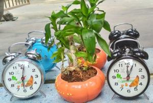 đồng hồ để bàn báo thức