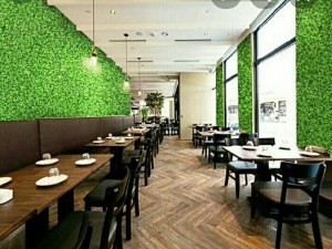 Thi Công Tường Hoa Cỏ Giả