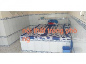Nha nghỉ 8phong 3măt tiền thi trấn óc eo