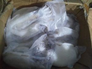 Mực nang làm sạch 1-3kg/con