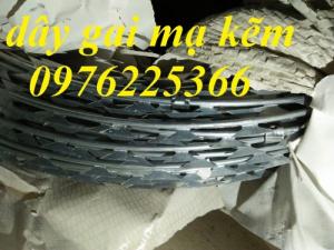 Dây thép gai hình dao vòng 40cm, 50cm