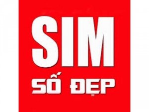Sim số đẹp Viettel- Vina