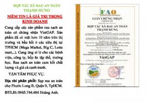Rau sạch VietGap - đại lý cấp 1 bán sỉ, bán lẻ