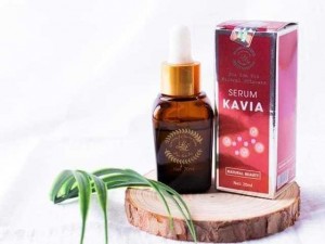 Surum kavia Hoa sơn Trà