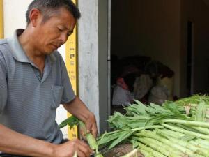 RAU TIẾN VUA