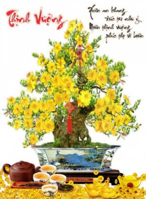 tranh 3d cây mai