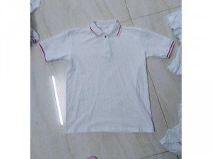 Sỉ áo thun cotton 100% trắng cổ sọc đỏ