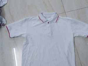 Sỉ áo thun cotton 100% trắng cổ sọc đỏ