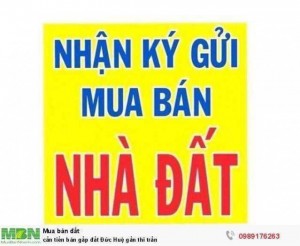 cần tiền bán gấp đất Đức Huệ gần thi trấn