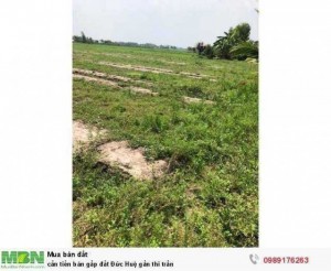 cần tiền bán gấp đất Đức Huệ gần thi trấn