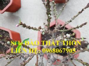 Sỉ - lẻ Đào Thất Thốn dáng bonsai cực chất - Liên hệ: 0968067905
