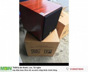 Súp điện bass 30cm db acoustic nhập khẩu chính hãng.