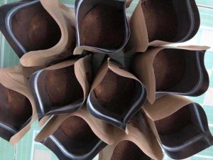Cà phê nguyên chất tây nguyên