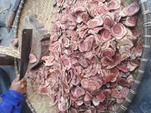 Kê huyết đằng . Thảo dược quý