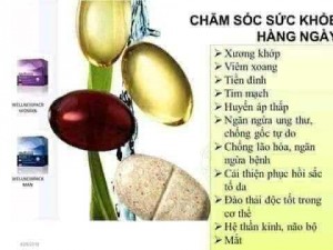 Thuốc bổ