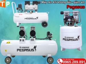Máy nén khí không dầu giảm âm Pegasus
