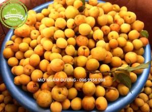 Mơ Ngâm Đường Hà Nội