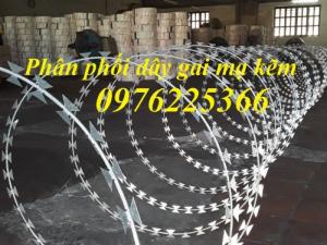 Dây thép gai hình dao, cố định hai vòng