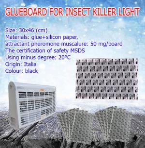 Glueboard for flying killer light