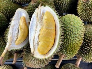 Sầu riêng miền tây chín cây tự nhiên
