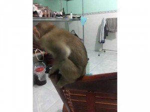 bé mai 4 tháng tuổi